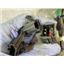 2001 2002 FORD F350 XLT 7.3 DIESEL AUTO 4X4 CREWCAB POWER SEAT WIRE HARNESS SET
