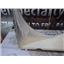 2001 2002 FORD F350 XLT 7.3 DIESEL AUTO 4X4 CREWCAB FAN RADIATOR COVER SHROUD