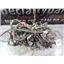 2000 2001 2002 FORD F350 XLT 7.3 DIESEL ZF6 4X4 CREWCAB ENGINE BAY WIRE HARNESS