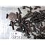 1995 1996 1997 FORD F350 F250 7.3 DIESEL ENGINE ( BAG OF BOLTS ) ALL MOTOR BOLTS