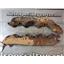 1995 1996 1997 FORD F350 F250 7.3 DIESEL ENGINE EXHAUST MANIFOLDS (PAIR) SET