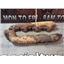 1995 1996 1997 FORD F350 F250 7.3 DIESEL ENGINE EXHAUST MANIFOLDS (PAIR) SET
