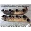 1995 1996 1997 FORD F350 F250 7.3 DIESEL ENGINE EXHAUST MANIFOLDS (PAIR) SET
