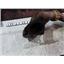 2008 2009 FORD F550 CREWCAB 6.4 DIESEL ENGINE OEM EXHAUST CROSSOVER PIPES (3)