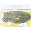 Boaters' Resale Shop of TX 2502 1571.07 TEN FEET OF 1/4" STAINLESS ANCHOR CHAIN