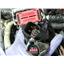 2005 2006 FORD F350 F250 XLT 6.0 DIESEL AUTO 4X4 ENGINE BAY WIRE HARNESS OEM