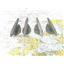 Boaters' Resale Shop of TX 2505 3102.41 CHRIS CRAFT FOUR 9.5" TORPEDO CLEATS