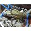 2014 2015 DODGE 3500 ST 6.7 DIESEL AUTO 4X4 CAB / BODY WIRING HARNESS 68207406AD