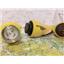 Boaters' Resale Shop of TX 2509 5541.05 MARINCO EEL Y ADAPTER MODEL Y503-2-30