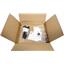 Cisco WS-C2960C-12PC-L Catalyst 2960C 12x 10/100 PoE 2x Combo SFP Ether Switch