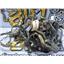2002 2003 FORD F350 LARIAT 7.3 DIESEL AUTO 4X4 ENGINE BAY WIRING HARNESS