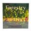 Forestry + Production Manager Promo by Capstone Games - SEALED