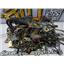 2000 2001 FORD F350 F250 LARIAT 6.8L V10 TRITON AUTO 4X4 ENGINE BAY WIRE HARNESS