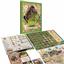 Corps of Discovery: Insecta Expansion by Off the Page Games - SEALED