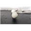 Acuson 9EVF4 Ultrasound Transducer Probe
