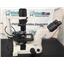 Nikon Eclipse TS100 Inverted Phase Binocular Microscope