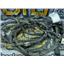 2013 2014 FORD F150 XLT 3.5 ECOBOOST AUTO 4X4 CREWCAB S/B FRAME WIRING HARNESS