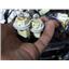 2000 2001 FORD F350 XLT EXT CAB 7.3 DIESEL ZF6 2WD CAB WIRING HARNESS W DOORS