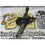 2003 2004 DODGE 3500 2500 5.9 DIESEL 4X4 NV5600 TRANSFER CASE SHIFTER GEAR OEM