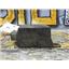 1998 1999 DODGE RAM 3500 SLT 5.9 24V DIESEL DRL DAYTIME RUNNING LIGHT MODULE