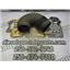 1998 1999 DODGE RAM 3500 SLT 5.9 24V DIESEL NV4500 4X4 AIR INTAKE TUBE 53030294