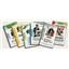 Derrocar: The Week of Five Presidents by ION Game Design - SEALED