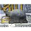 2008 2009 DODGE RAM 1500 SLT 5.7 HEMI AUTO 4X4 OEM AIR FILTER CLEANER TOP COVER