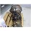 1994 - 2002 DODGE 2500 3500 5.9 DIESEL NV4500 TRANSMISSION W/ 241 TRANSFER CASE