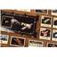 Space Explorers Base Game + Expansion + Promo by 25th Century Games - SEALED