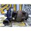 2000 2001 FORD F250 F350 7.3 XLT AUTO RWD 1.1OAR TURBO W/ WICKED WHEEL IMPELLER