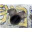 2000 2001 FORD F250 F350 7.3 XLT AUTO RWD TURBO ELBOW UP PIPE Y BRIDGE COLLECTOR