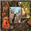 Rack Up: The Hunting Card Game by Tin Robot Games - SEALED
