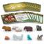 Life of the Amazonia Mini Expansion by Bad Comet - SEALED