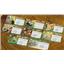 Life of the Amazonia Mini Expansion by Bad Comet - SEALED