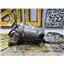 1999 2000 DODGE 3500 2500 5.9 24V DIESEL FUEL FILTRE HOUSING CANISTER 3943976