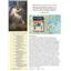 Magazine Nr34 The Battle for Kursk by C3i - SEALED