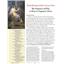 Magazine Nr35 Burma: The Forgotten War, 1943 - 1944 by C3i - SEALED