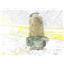 Boaters' Resale Shop of TX 2606 1303.07 GROCO ARG-750 STRAINER w BASKET