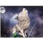 Dark Souls:  The Great Grey Wolf SIF SD by First 4 Figures SEALED