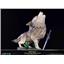 Dark Souls:  The Great Grey Wolf SIF SD by First 4 Figures SEALED