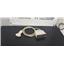 Phillips C5-1 Transducer Probe