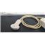 Phillips C5-1 Transducer Probe