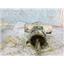 Boaters' Resale Shop of TX 2606 2702.12 JABSCO BRONZE RAW WATER PUMP 777-9001