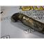 2003 2004 FORD F350 F250 XL 6.0 DIESEL ZF6 4X4 TURBO INTERCOOLER PIPE SET (2)