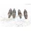 Boaters' Resale Shop of TX 2606 1302.21 WESTERBEKE WTA-15-614 INJECTORS (4)