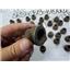 2008 2009 FORD F350 FX4 6.4 DIESEL AUTO 4X4 OEM WHEEL LUG NUTS M14X1.5 (SET) 32