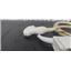 Siemens Acuson 4C1 Transducer Probe