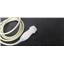 Siemen Acuson 4V1c Transducer Probe
