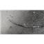 Olympus ENF-VH Video Rhino-Laryngoscope
