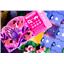 Night at the Zoo All-In! by Capstone Games - SEALED